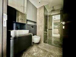 Irwell Hill Residences (D9), Apartment #561387491